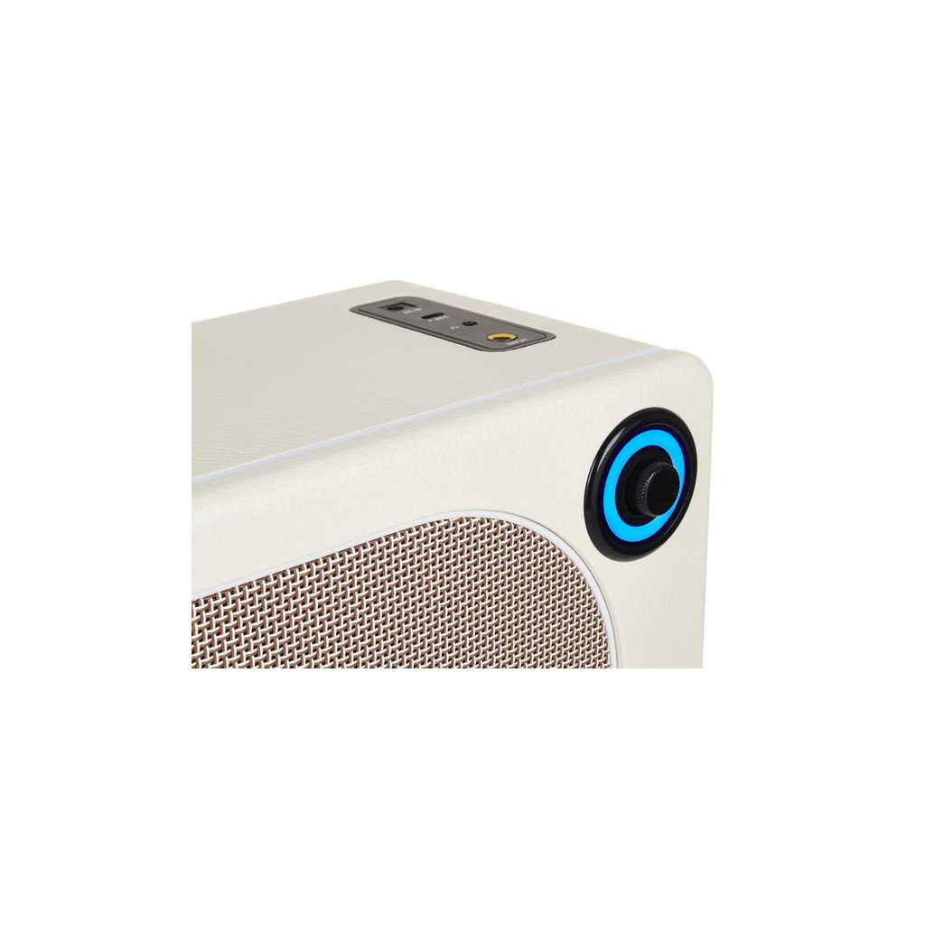 Комбопідсилювач Mooer Hornet 15i White