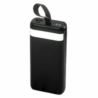 Батарея універсальна TheGeneral 20000mah PowerPulse, 10W, flashlight, black (40011319-01)