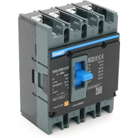 Automatic circuit breaker CHINT NXM-125S-4300B-100A