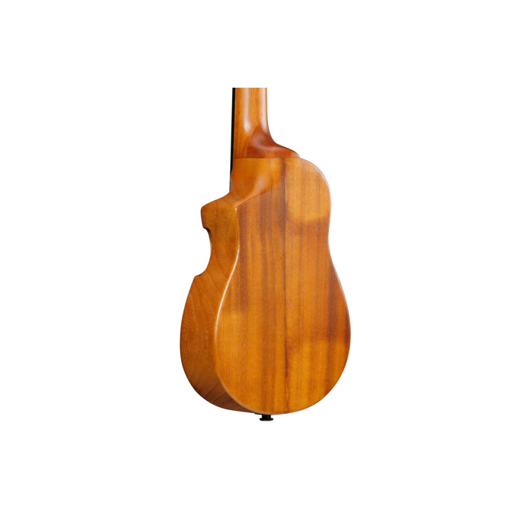 Укулеле Ibanez AUC10E OPN (234983)