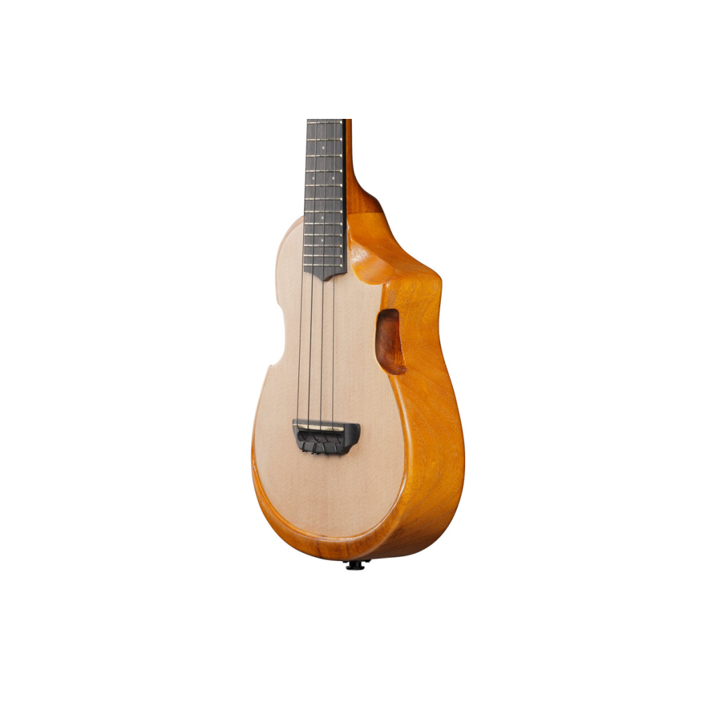 Укулеле Ibanez AUC10E OPN (234983)