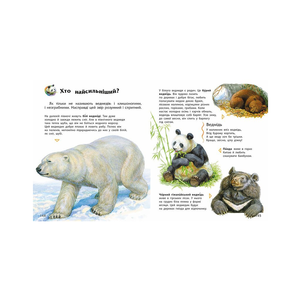 Книга Енциклопедія дошкільника - Юлія Каспарова Ранок (9786170973443)