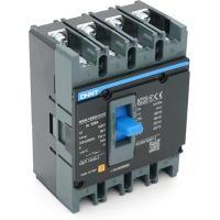 Automatic circuit breaker CHINT NXM-125S-4300B-125A