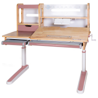 Парта Mealux Oxford Wood PN (BD-920 Wood PN з полицею)