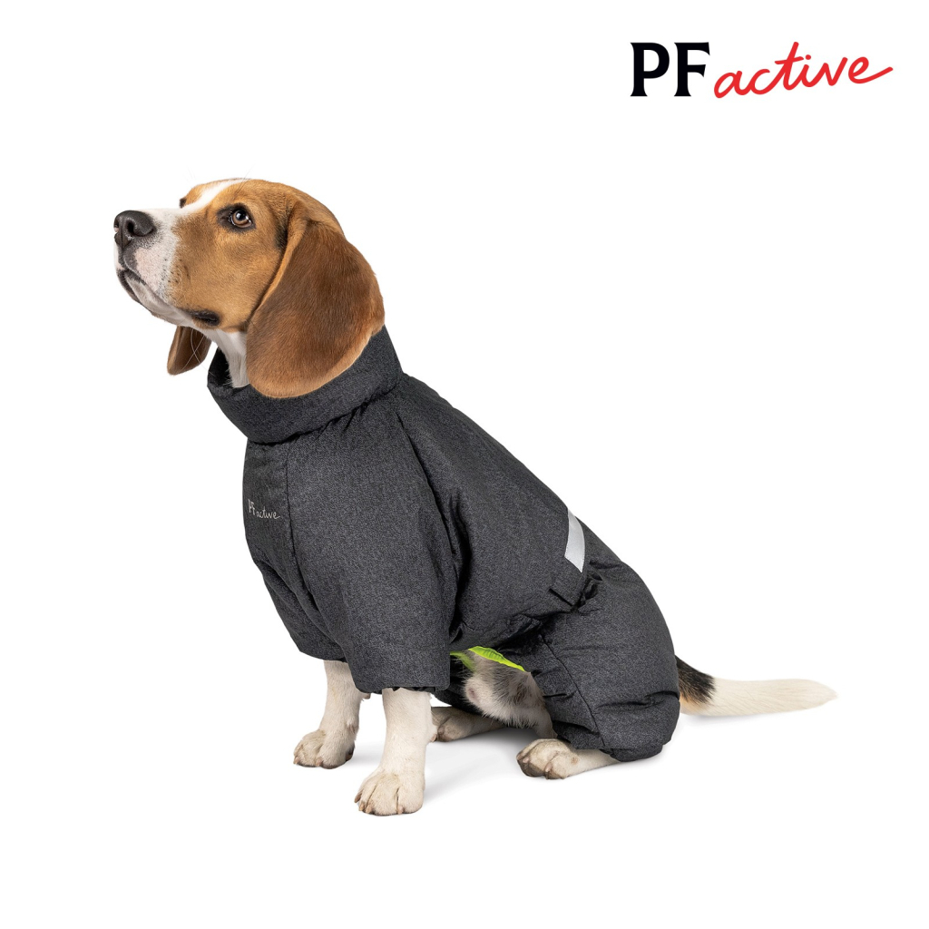 Комбінезон для тварин Pet Fashion "COLD" M2 (сірий) (4823082426270)