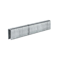 Staples for construction stapler Einhell 5.7x13mm, 3000 pcs. (4137850)