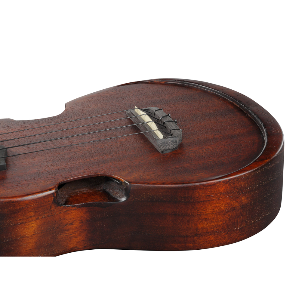 Укулеле Ibanez AUC14 OVL (234982)