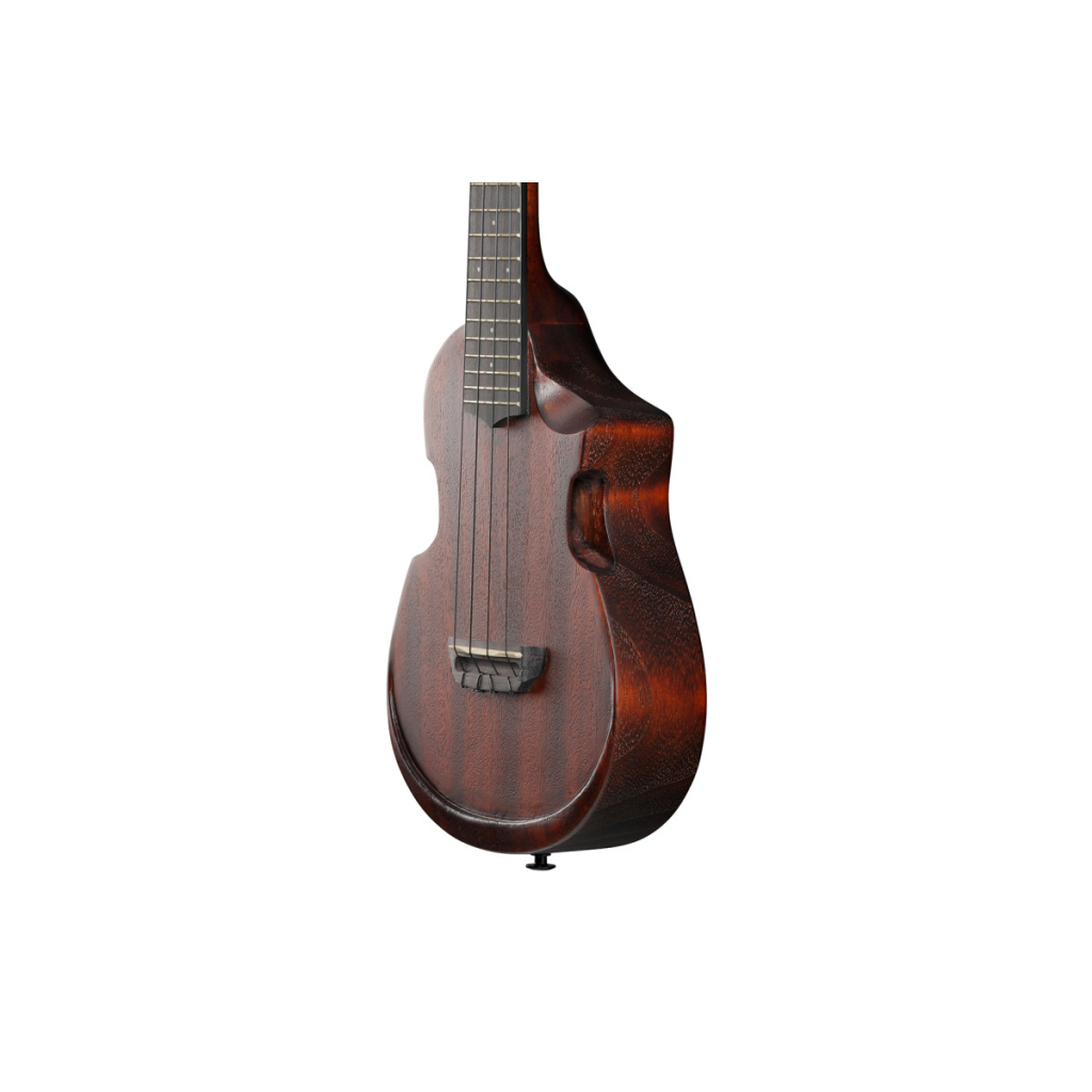 Укулеле Ibanez AUC14 OVL (234982)