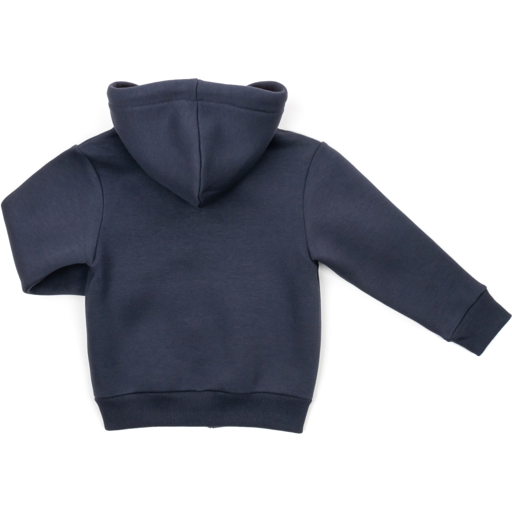 Кофта дитяча Cloise флісова (CL0125009-152-gray)