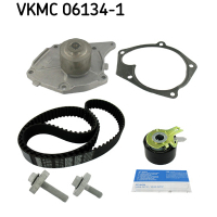 Timing belt kit with pump SKF VKMC 06134-1