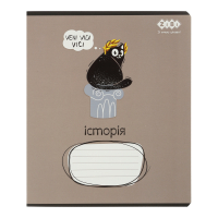 ZiBi subject notebook CRAZY CAT 48 sheets cell, history (ZB.1703-18)