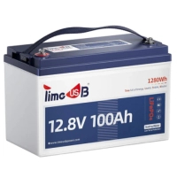 Батарея LiFePo4 Timeusb 12.8V 100Ah Low-Temp 1280Wh BMS 100A (T12V100-100-TM-4-A100)