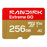 Карта пам'яті SanDisk 256GB microSDXC class 10 UHS-I Extreme GO (SDSQXGN-256G-GN6MN)