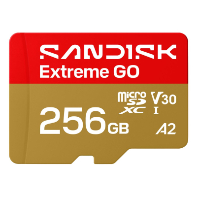 Карта пам'яті SanDisk 256GB microSDXC class 10 UHS-I Extreme GO (SDSQXGN-256G-GN6MN)