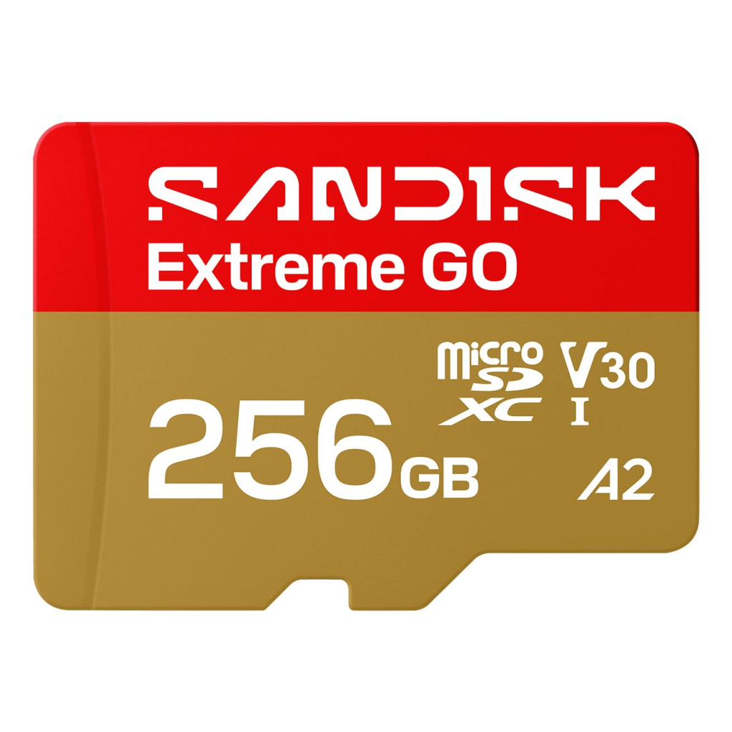 Карта пам'яті SanDisk 256GB microSDXC class 10 UHS-I Extreme GO (SDSQXGN-256G-GN6MN)