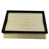 Champion CAF100741P car air filter
