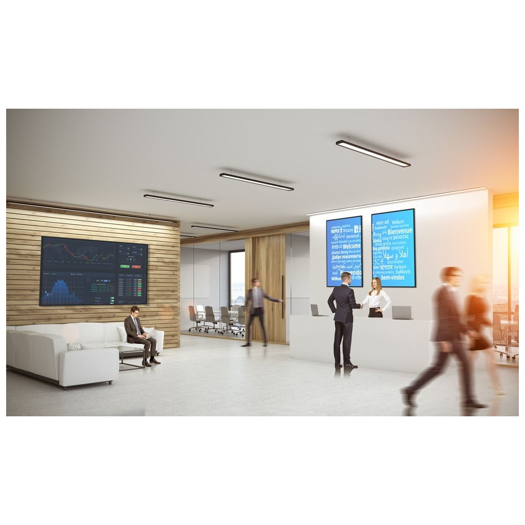 LCD панель Optoma N3981K