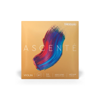 Violin strings D'Addario Ascente Violin String Set 3/4 Scale Medium Tension (A310 3/4M)