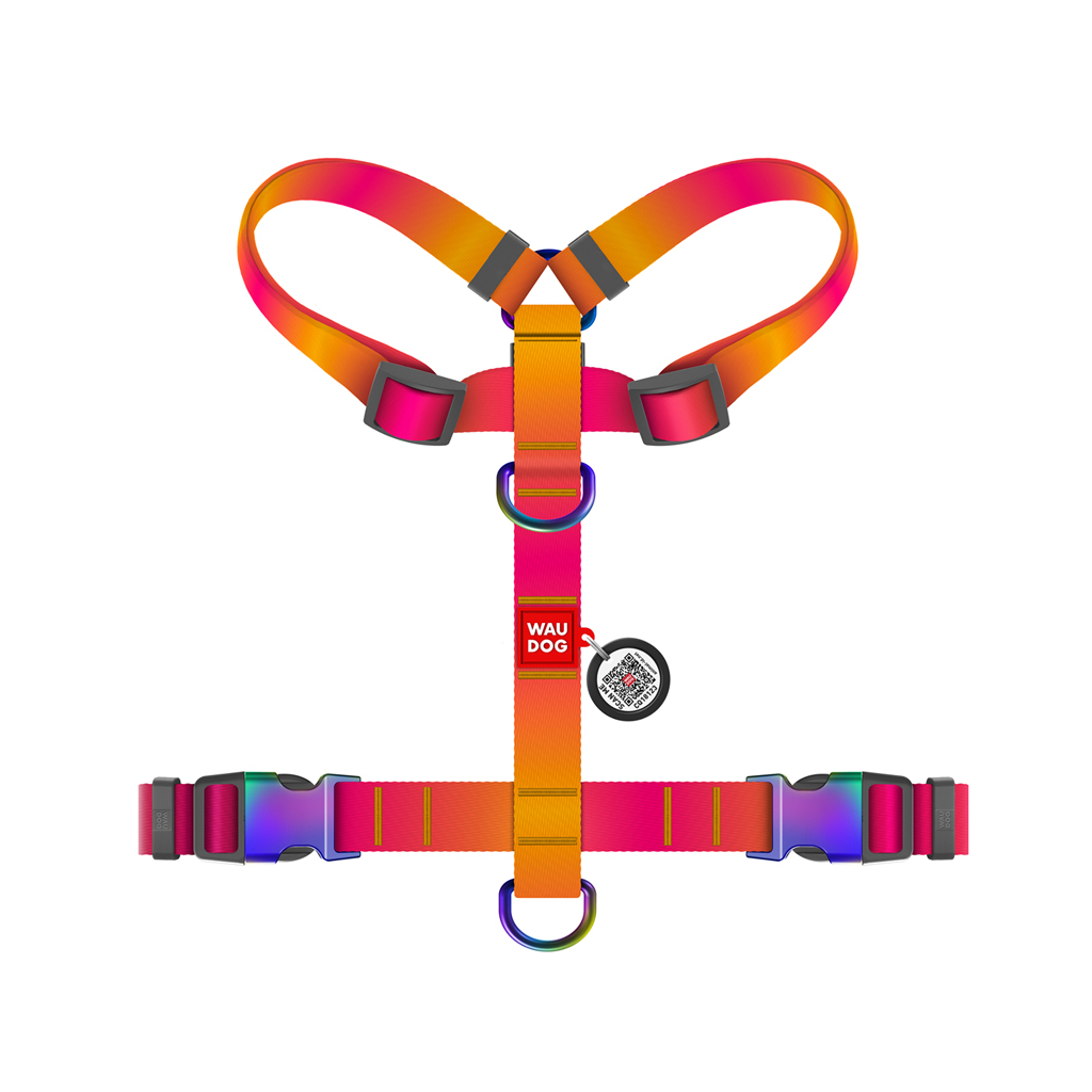 Шлея для собак WAUDOG Nylon Recycled анатомічна H-подібна з QR-паспортом, градієнт, S помаранчева (52864)