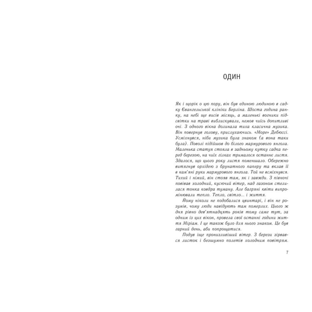 Книга Ізола - Ізабель Абеді Readberry (9786170986436)