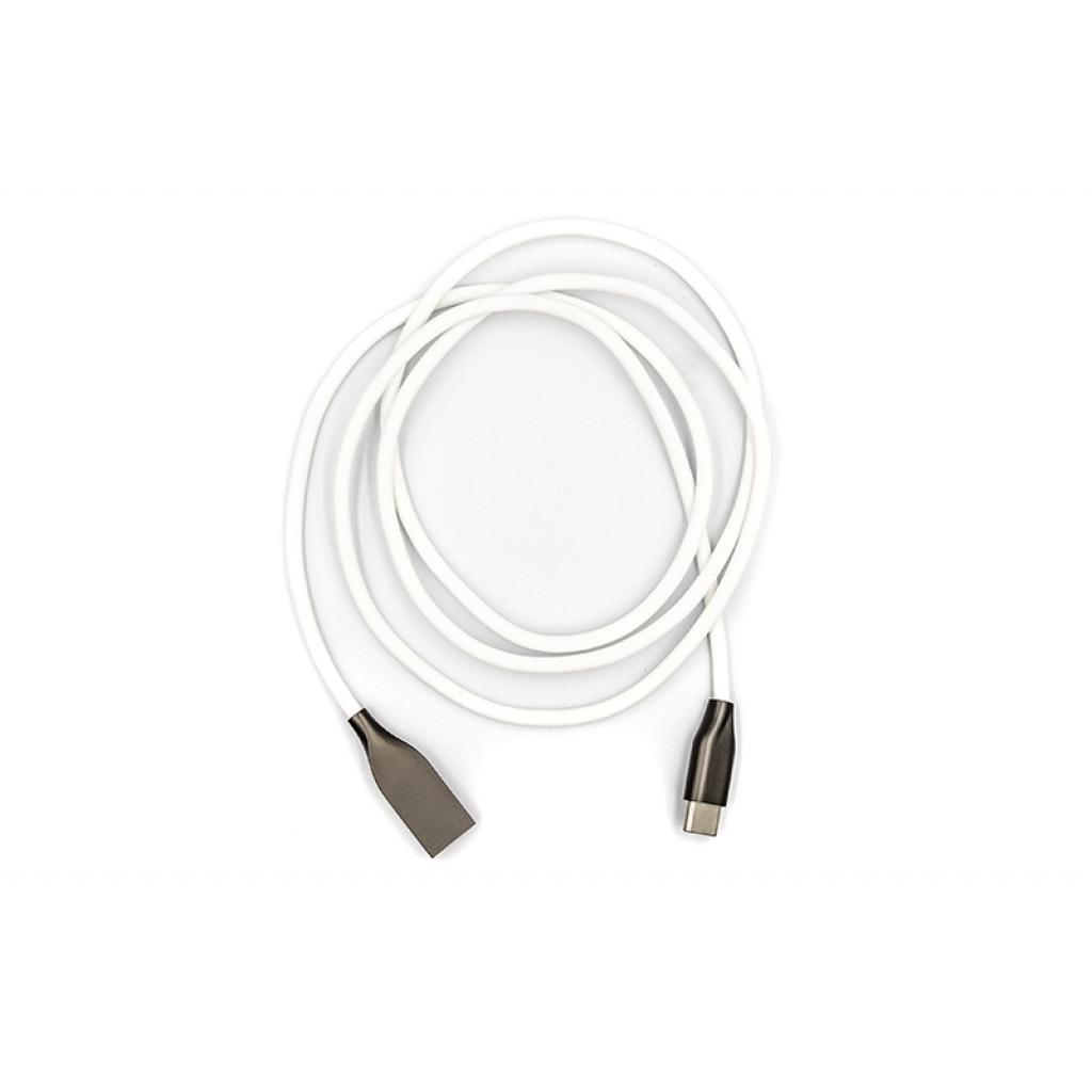 Дата кабель USB 2.0 AM to USB-C 1.0m white PowerPlant (CA910717) Дата кабель USB 2.0 AM to USB-C 1.0m white PowerPlant (CA910717)