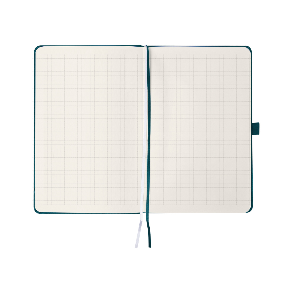 Книга записна Axent Partner Колоски 125x195 мм, 96 аркушів, клітинка, малахітова (8201-31-6-A)