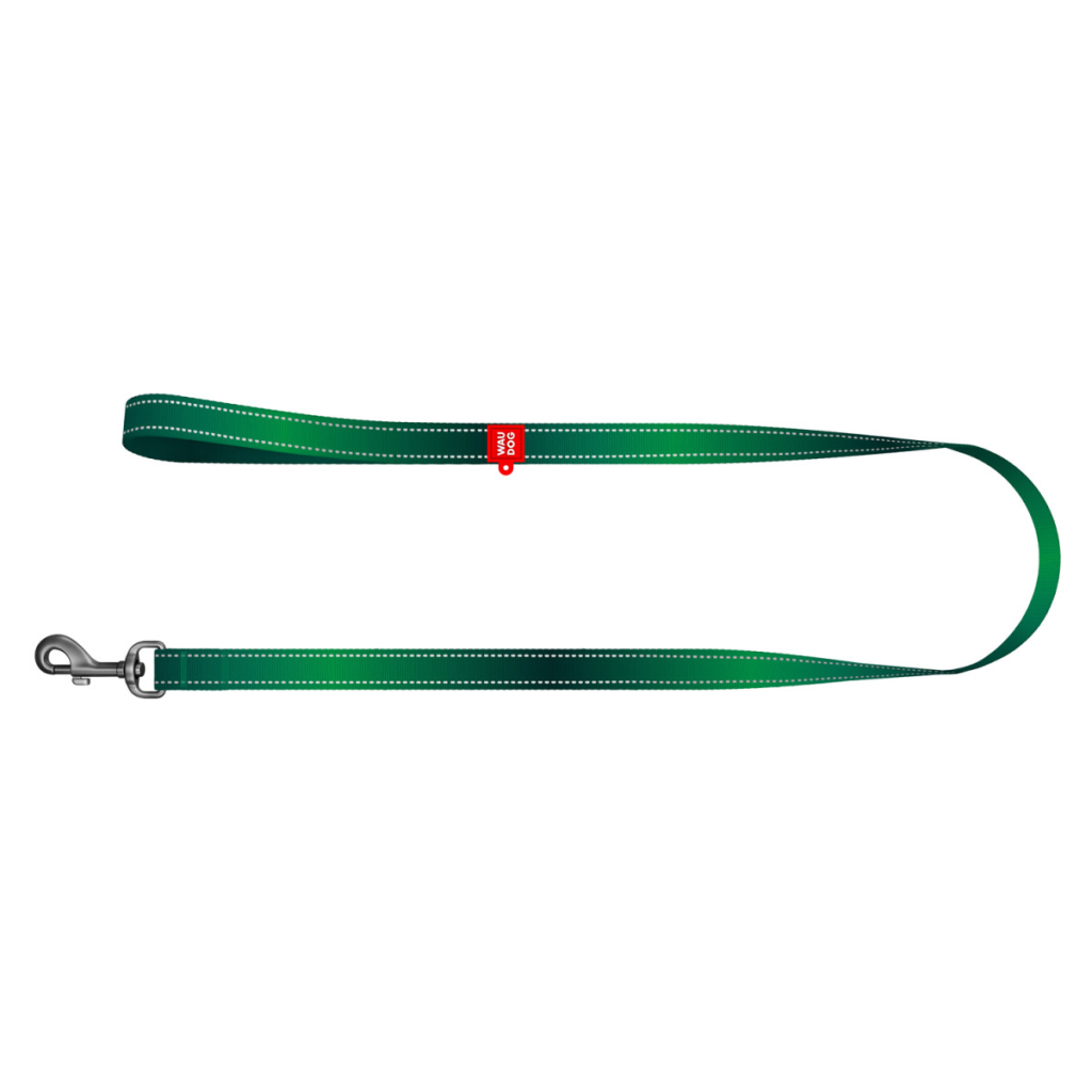 Повідець для собак WAUDOG Nylon Mono світловідбивний L-XXL 25 мм, 200 см, зелений (463818)