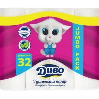 Toilet paper Divo Econom 2 layers 32 rolls (4820003838563)