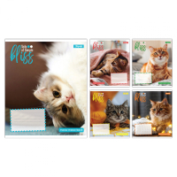 Notebook September 1 Bliss A5 12 sheets line (768052)