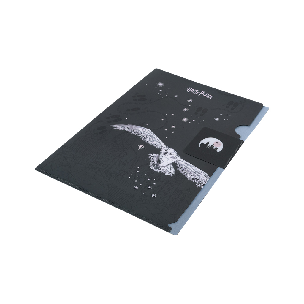 Папка - куточок Kite із клапаном A4 Harry Potter- 2 (HP25-248-2)