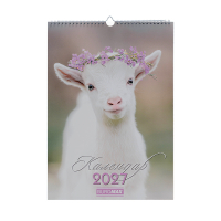 Buromax wall calendar A3 2027 year, 1 spring, Cute goat (BM.210601)