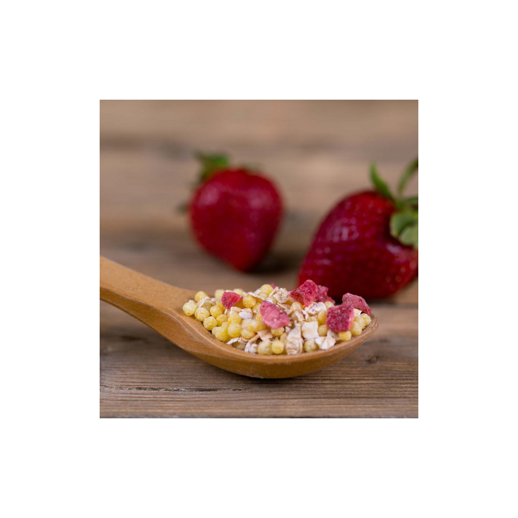 Дитяча каша Fleur Alpine безмолочна Organic Мультизлакова банан-яблуко-полуниця 200 г (9010004508168)
