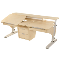 Desk Pondi Ergonomic transformer for 2 children Maple gray (KL311СР)