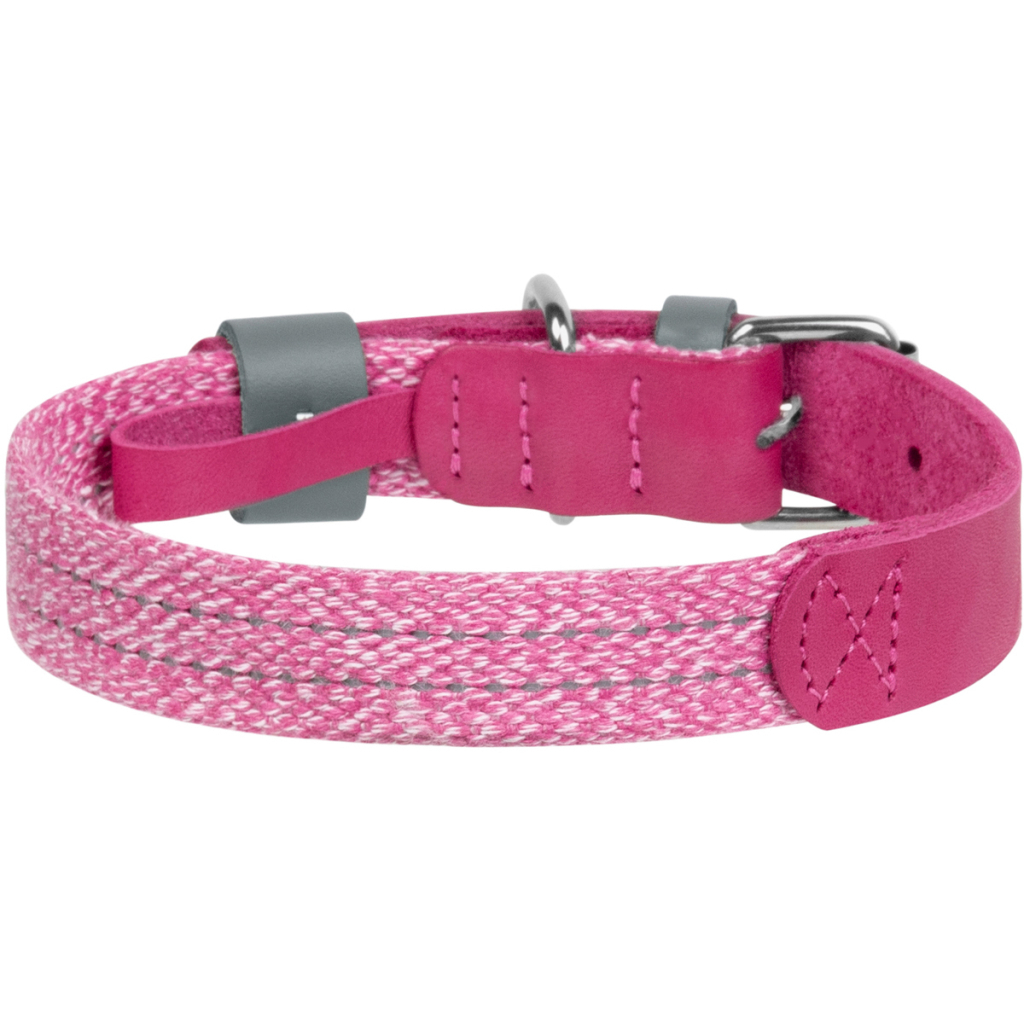 Нашийник для тварин WAUDOG Classic зі шкіри та відновленої бавовни S 15 мм х 27-36 см рожевий (58907) Нашийник для тварин WAUDOG Classic зі шкіри та відновленої бавовни S 15 мм х 27-36 см рожевий (58907)