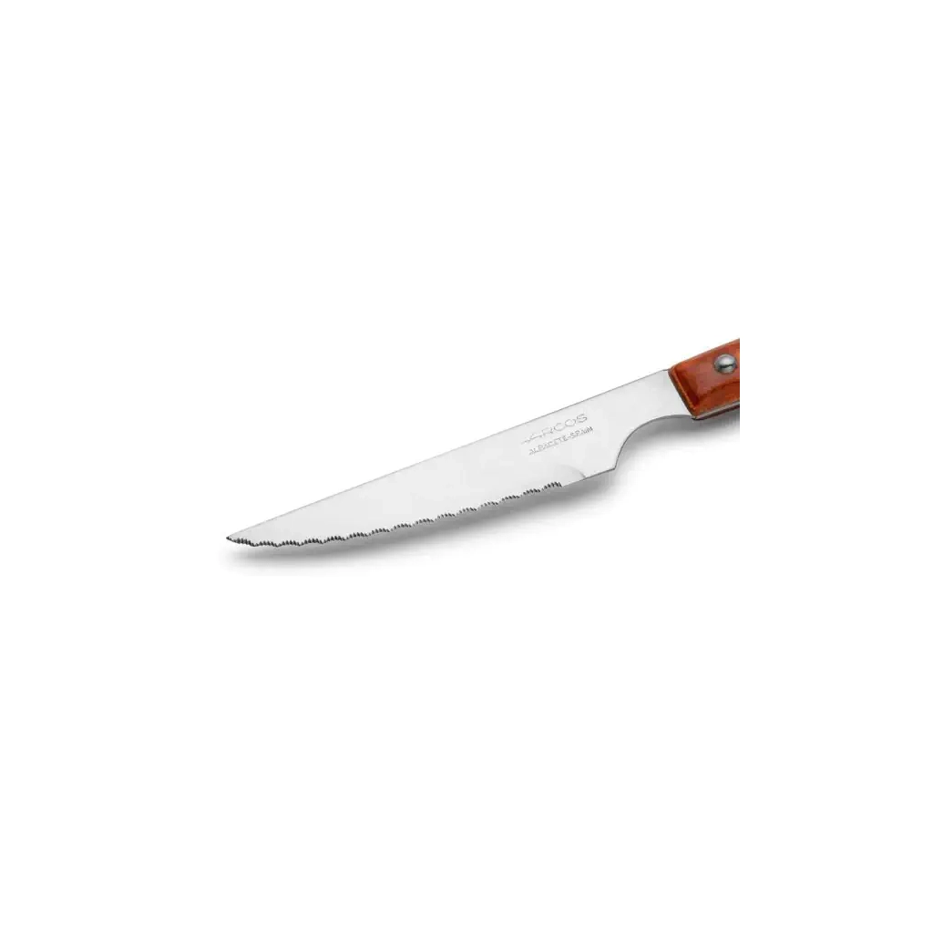 Столовий ніж Arcos стейковий 22 см (371500)