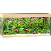 Акваріум Juwel Rio 240 LED дуб (4022573038507)