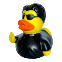 Funny Ducks bath toy Duck One (1324)
