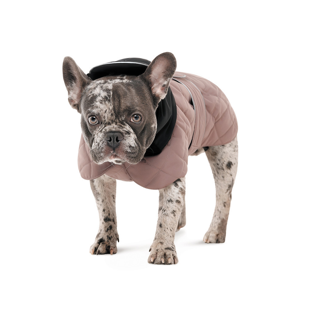 Попона для тварин Pet Fashion Max М2 (4823082439652)