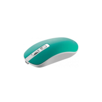Мишка Canyon CNS-CMSW18A Wireless White-Green (CNS-CMSW18A)