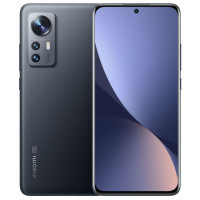Мобільний телефон Xiaomi 12X 5G 8/256GB Gray