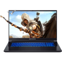 Ноутбук Dream Machines RS3070-17 (RS3070-17UA51)