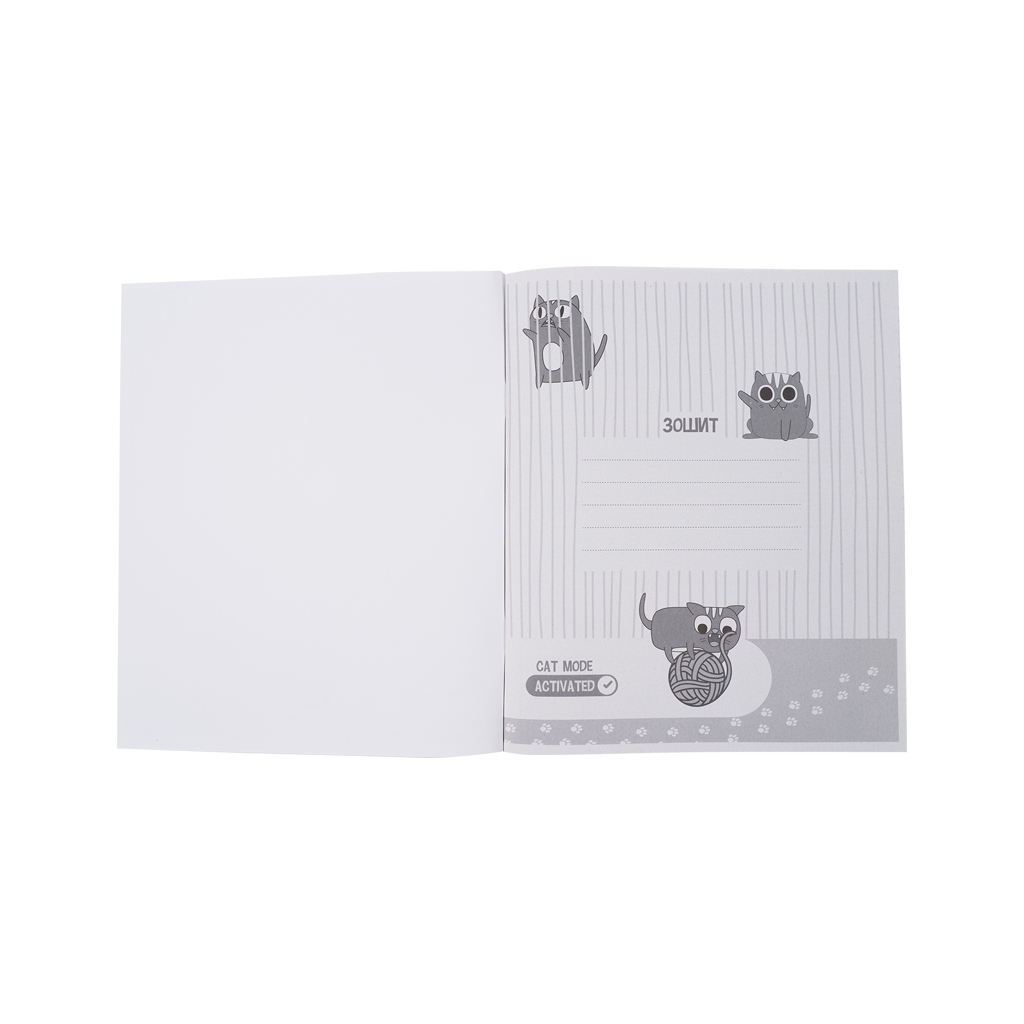 Зошит Kite предметний Cat 48 аркушів, клітинка, хімія (K23-240-22)