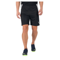 Shorts Puma teamLIGA Shorts 704924-03 black S (4063699144819)
