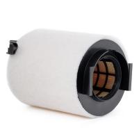 Mann C14130/1 car air filter