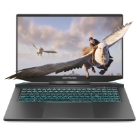 Ноутбук Dream Machines RG3050-17 (RG3050TI-17UA47)