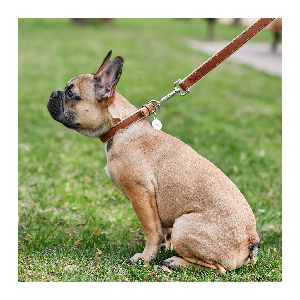 Повідець для собак WAUDOG Soft S Ш 18 мм Д 122 см коричневий (7257)