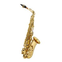 Maxtone SXC-51A/L saxophone