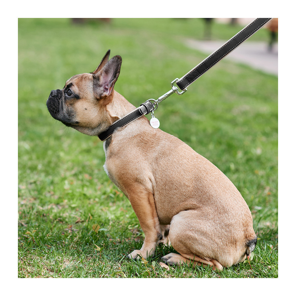 Повідець для собак WAUDOG Soft S Ш 18 мм Д 122 см чорний (7256)