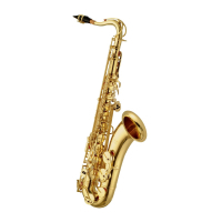 Maxtone SXC-30T/L saxophone