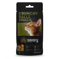 Treats for cats Savory Snacks Crunchy Balls balls with catnip 60 g (4820261921335)